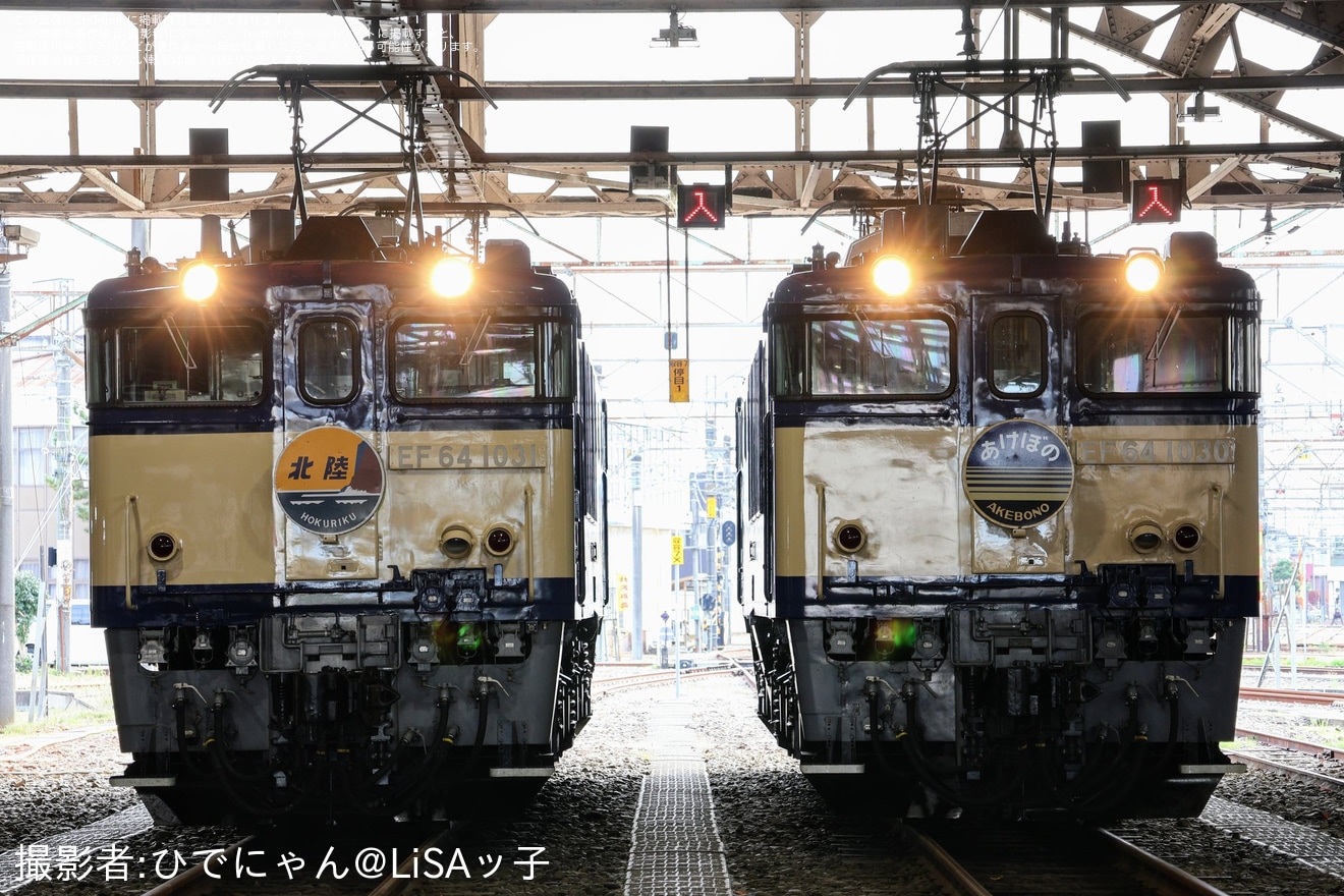 【JR東】「秋の機関車祭り@長岡」開催(20241116)の拡大写真