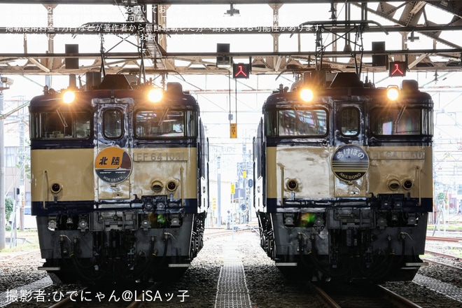 【JR東】「秋の機関車祭り@長岡」開催(20241116)を長岡駅で撮影した写真