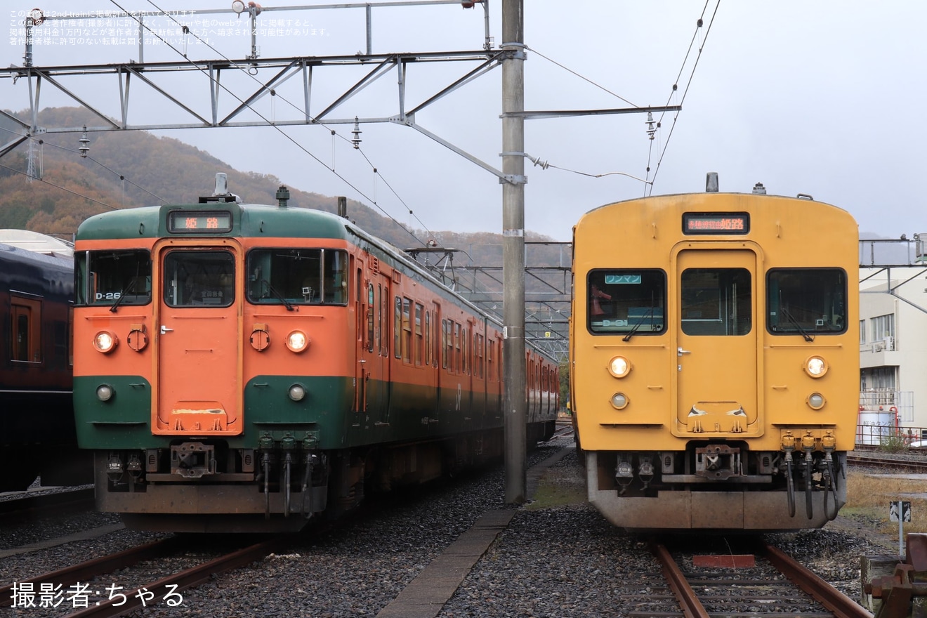 【JR西】115系、「WEST EXPRESS 銀河」を並べての撮影会の拡大写真