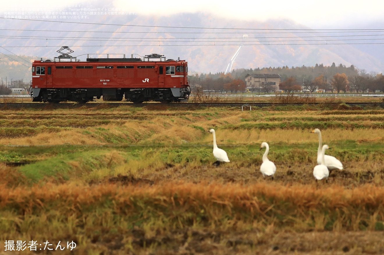 【JR東】ED75-759が仙台車両センターへ返却回送の拡大写真