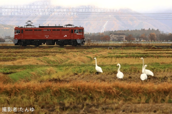 【JR東】ED75-759が仙台車両センターへ返却回送