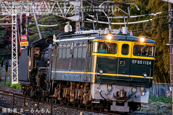 【JR西】D51-200が梅小路へ配給輸送を山崎駅で撮影した写真