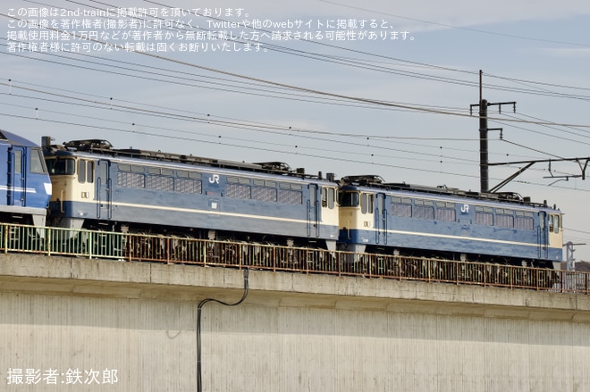 【JR貨】EF65-2067・EF65-2074が大宮車両所へ回送を梶ヶ谷タ～府中本町間で撮影した写真