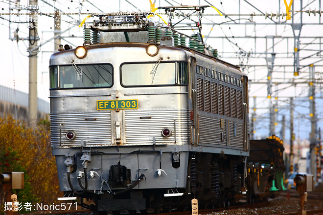 【JR貨】EF81-303(銀釜)が営業運転に復帰を八幡～黒崎間で撮影した写真