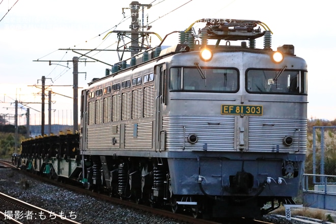 【JR貨】EF81-303(銀釜)が営業運転に復帰