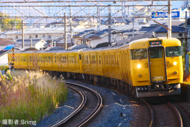 【JR西】115系D-31編成とD-03編成が下関総合車両所本所へ回送を向洋駅で撮影した写真