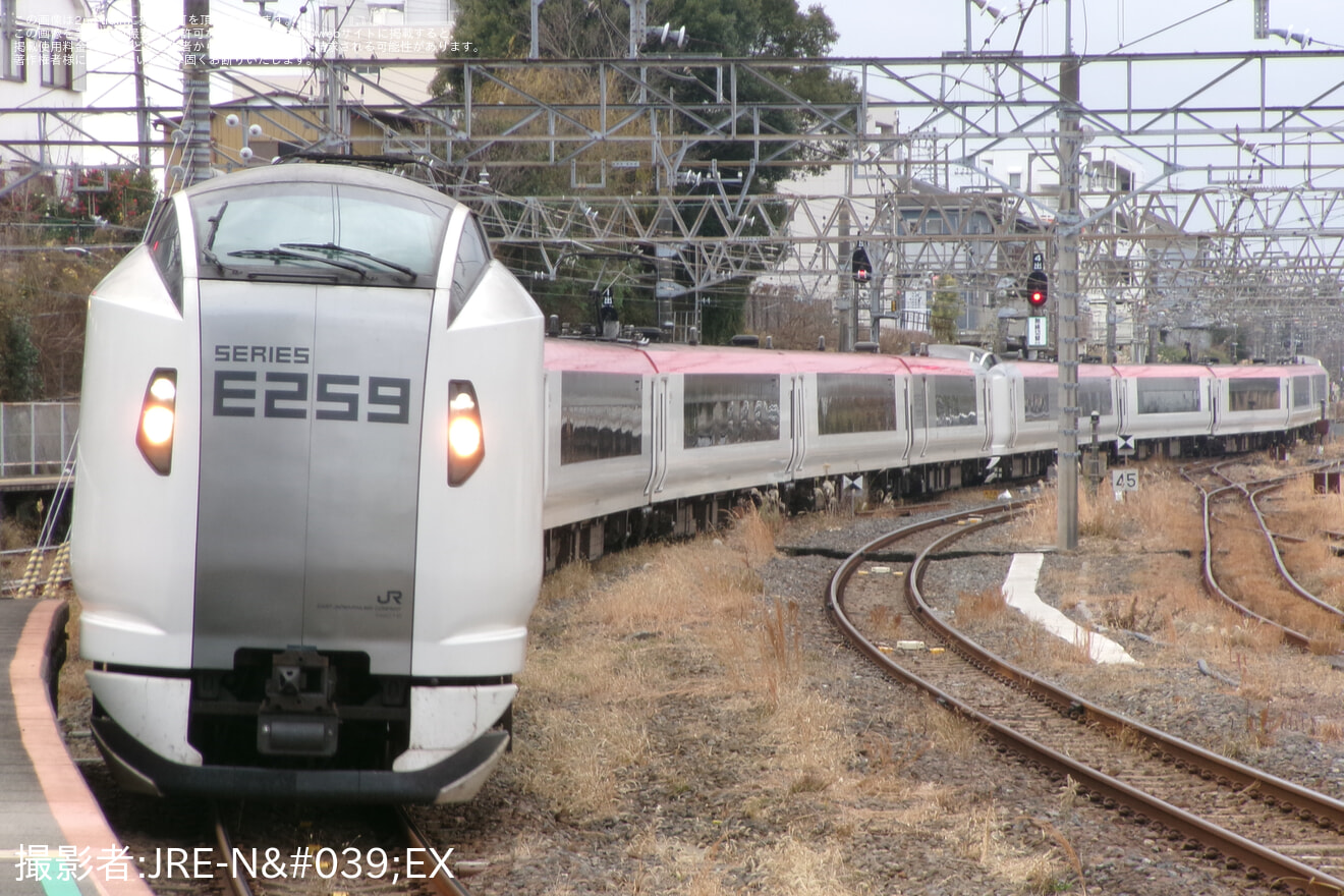 【JR東】特急成田エクスプレスが成田駅に臨時停車の拡大写真