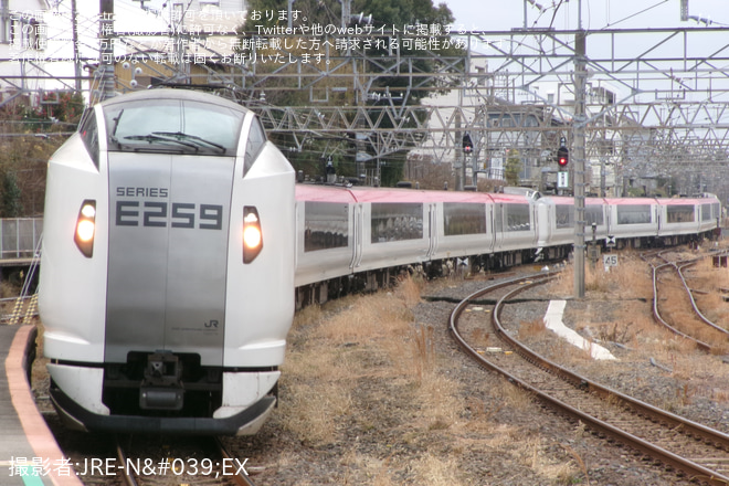 【JR東】特急成田エクスプレスが成田駅に臨時停車