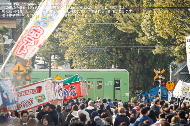  【JR西】桜井線での多客輸送で201系・221系NC604編成(お茶の京都トレイン）が充当(2025)を非公開で撮影した写真