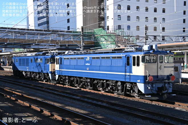 【JR東】EF65-1102 長野総合車両センター入場配給