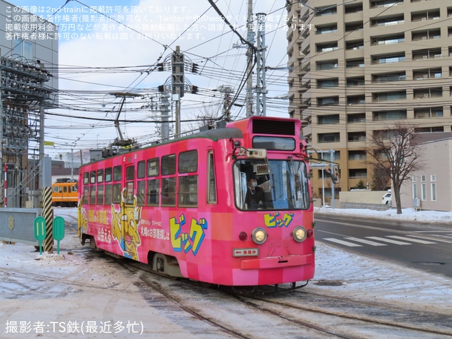 【札幌市交】250形252号本線試運転を不明で撮影した写真