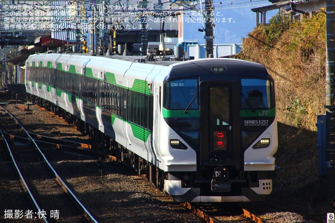 【JR東】臨時特急「開運成田山初詣青梅号」を運行(2025年1月)