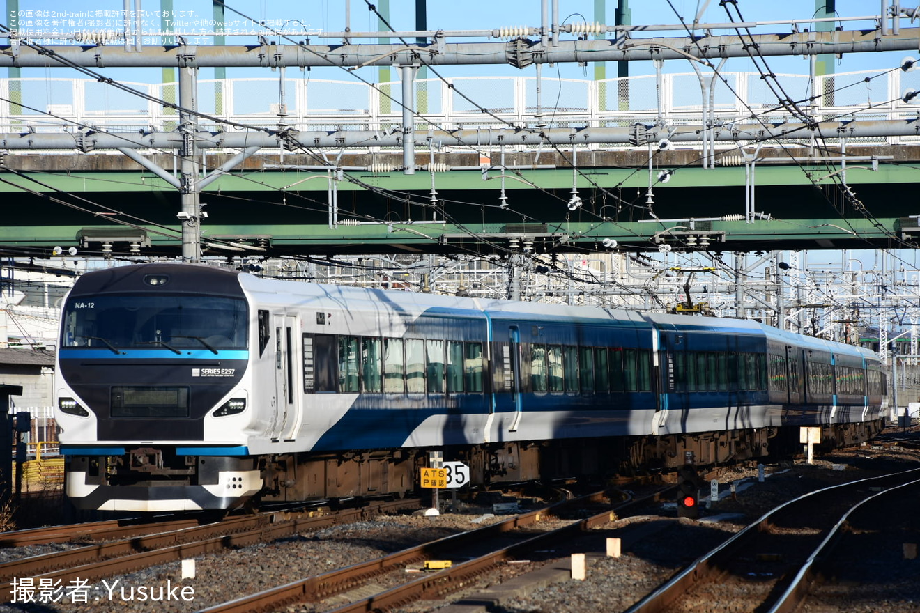 【JR東】臨時特急「下田水仙まつり号」を運行の拡大写真