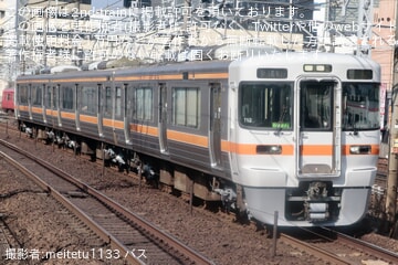 313さま 専用 30ed1e4e38d0f2da641d5a94e0c82e