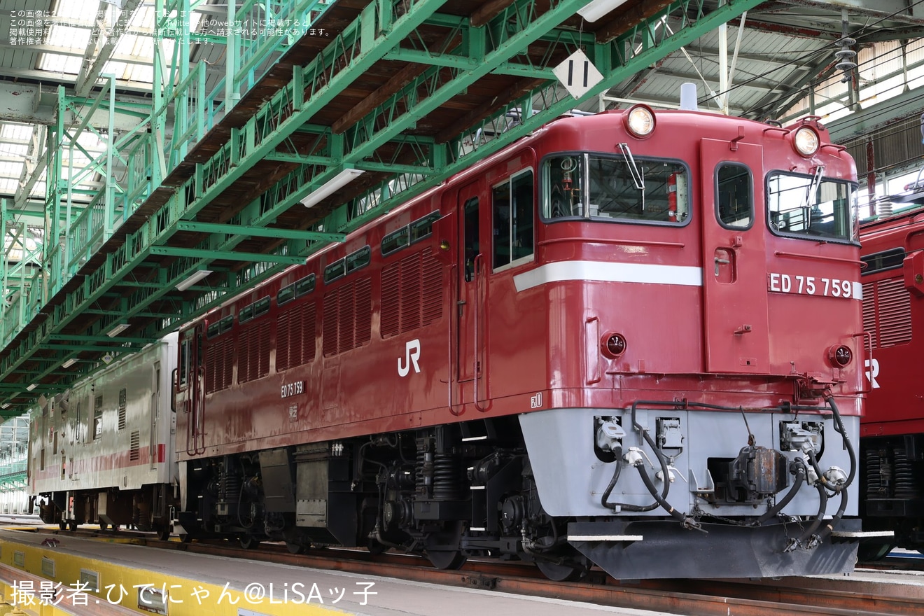 【JR東】「ED75交流電気機関車+マヤ50 5001連結撮影会」開催の拡大写真