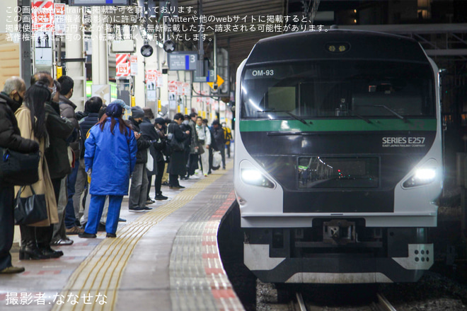 【JR東】臨時特急「さざなみ91/92号(館山若潮マラソン号)」運行