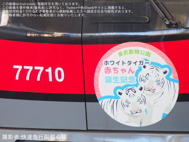 【東武】東武70000系71710Fにホワイトタイガー赤ちゃん誕生記念HM取付