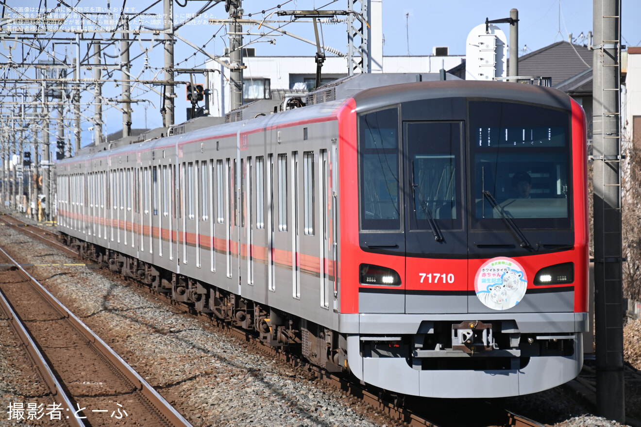 【東武】東武70000系71710Fにホワイトタイガー赤ちゃん誕生記念HM取付の拡大写真