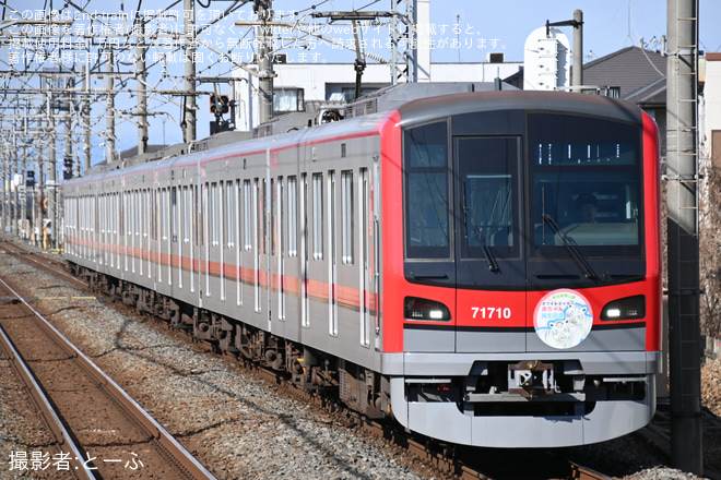 【東武】東武70000系71710Fにホワイトタイガー赤ちゃん誕生記念HM取付