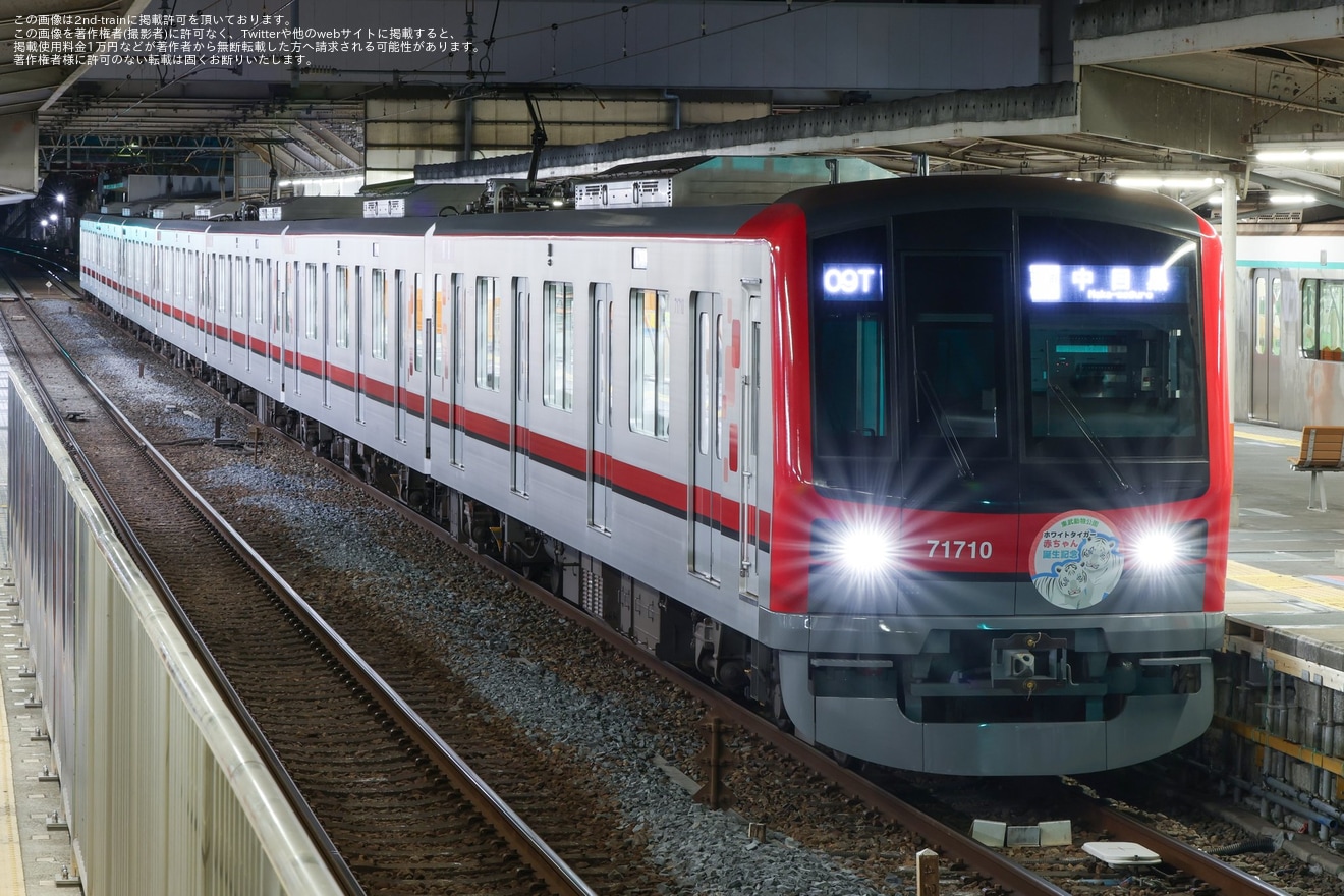 【東武】東武70000系71710Fにホワイトタイガー赤ちゃん誕生記念HM取付の拡大写真