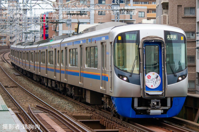 【西鉄】急行「観梅号」が運転(2025)を西鉄平尾駅で撮影した写真