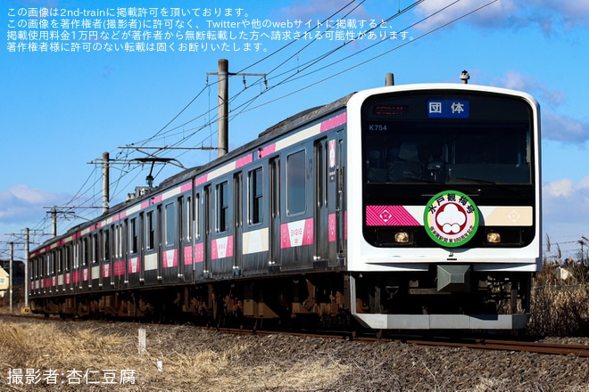 【JR東】E501系が小山から運転「水戸観梅号」ツアーが催行を不明で撮影した写真