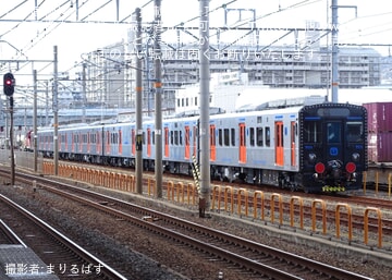 YC1    3本 b8996d6e6f1c0922c51e865d360f16