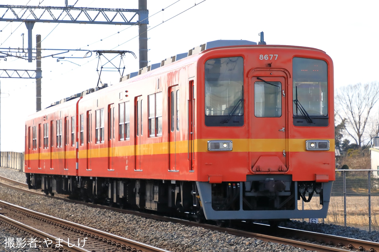 【東武】8000系8577F(標準色リバイバルカラー) 南栗橋工場入場回送の拡大写真