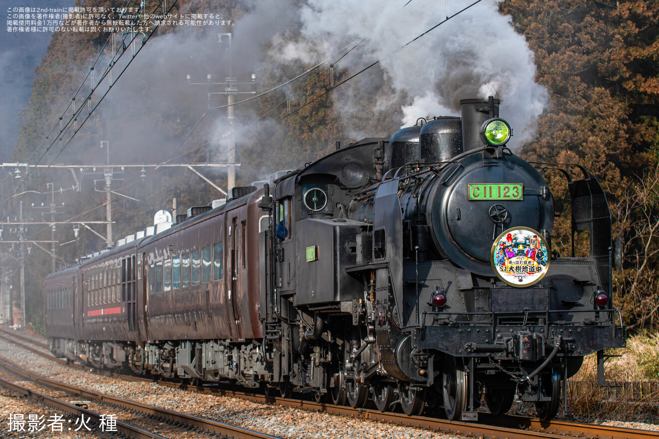 【東武】「EDO WONDER TRAIN」ヘッドマークを取り付け開始(2025)の拡大写真