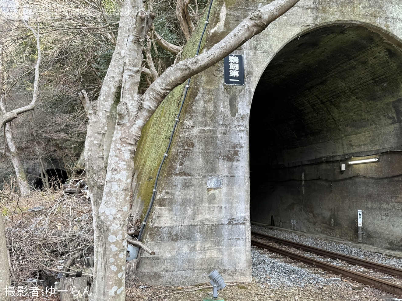 【嵯峨野】「SAGANO RAILWAY ADVENTURE(嵯峨野レールウェイアドベンチャー)」開催の拡大写真