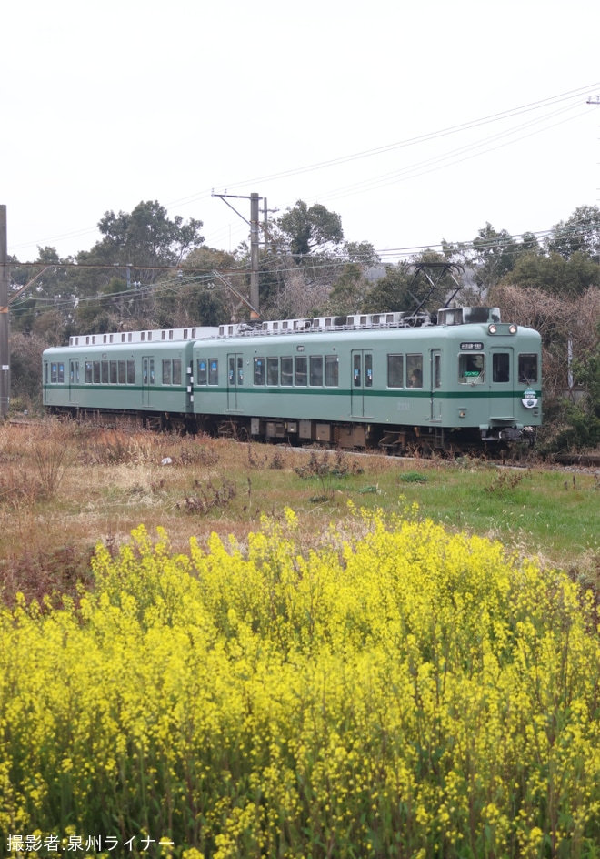 【南海】2200系2231F(復刻塗装編成)が多奈川線で運用を不明で撮影した写真