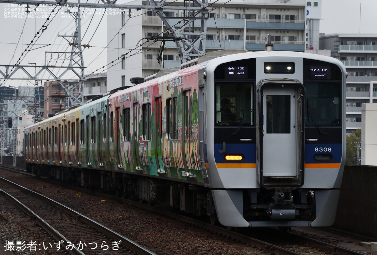【南海】8300系8308Fに「大阪桃園メトロ」ラッピングの拡大写真