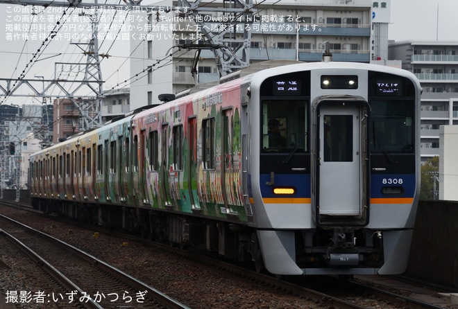 【南海】8300系8308Fに「大阪桃園メトロ」ラッピングを不明で撮影した写真