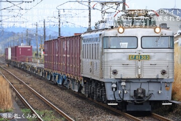 【JR貨】4099レに定期運用を失ったEF81-303が充当