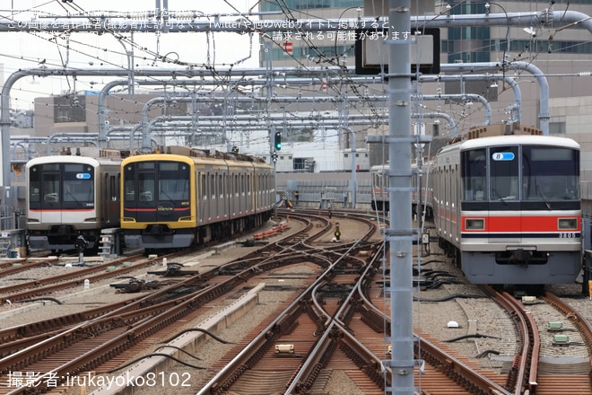 【相鉄】星川駅の日中留置車の動きに小変化