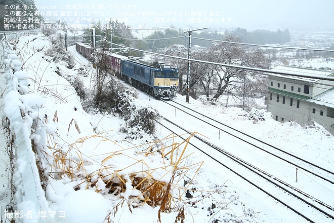 【JR貨】EF64-1046が牽引する80レが長時間に渡って運転を見合わせ