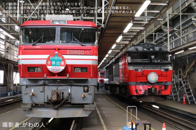 【JR貨】「EH800＆DF200撮影会」開催を五稜郭機関区で撮影した写真