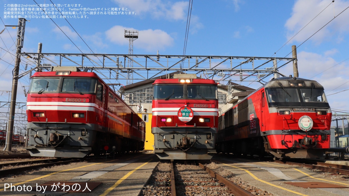 近鉄エクスプレス 50年史 非売品◇近鉄 近畿日本鉄道 航空貨物
