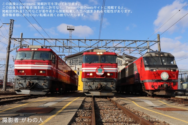 【JR貨】「EH800＆DF200撮影会」開催を五稜郭機関区で撮影した写真