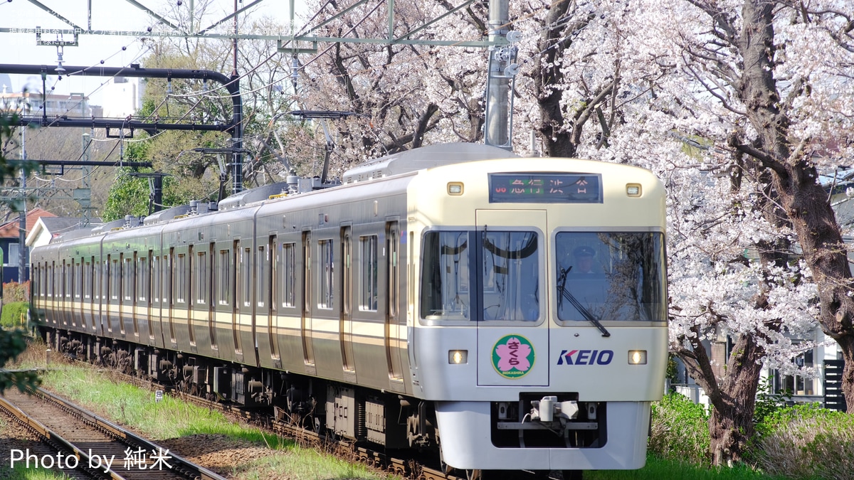 京王】1000系1780Fに「さくら INOKASHIRA」のヘッドマークを掲出