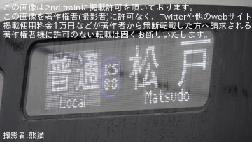 by熊猫