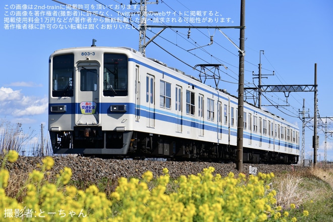 【東武】800型へ春の全国交通安全運動ヘッドマーク(2025)を不明で撮影した写真