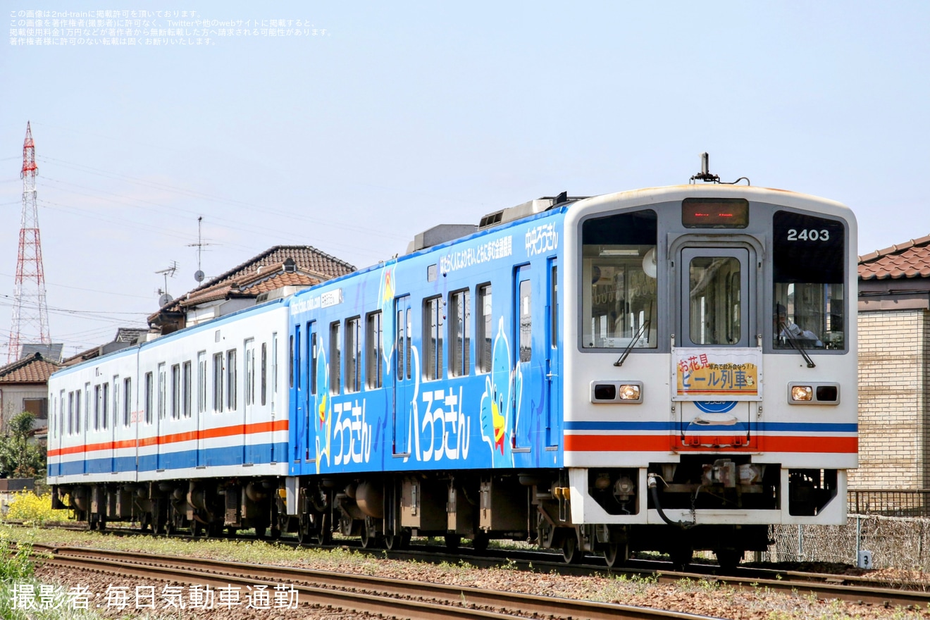【関鉄】常総線で「お花見ビール列車」 が運転の拡大写真