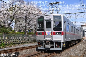 byとーふ