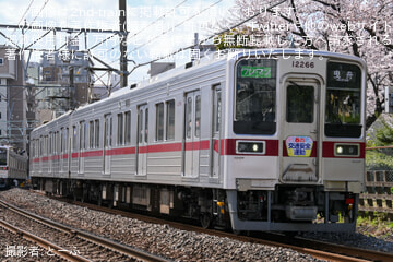 byとーふ