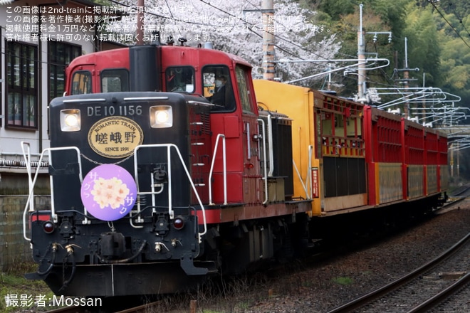 【嵯峨野】嵯峨野トロッコへ「サクラサク」と書かれたヘッドマークが取り付けをトロッコ嵐山〜トロッコ嵯峨間で撮影した写真