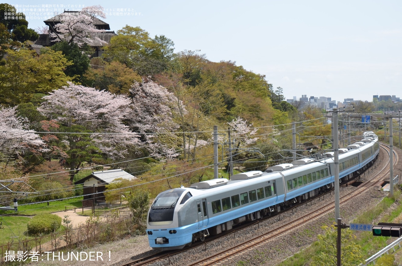 【JR東】臨時特急「絶景ネモフィラ青梅号」を運行(2025年4月)の拡大写真