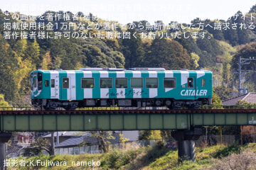 【浜名湖】フルラッピング列車「シン・キャタライナー」運行再開
