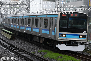 by海豹