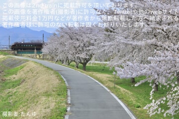 Uploaded Picture